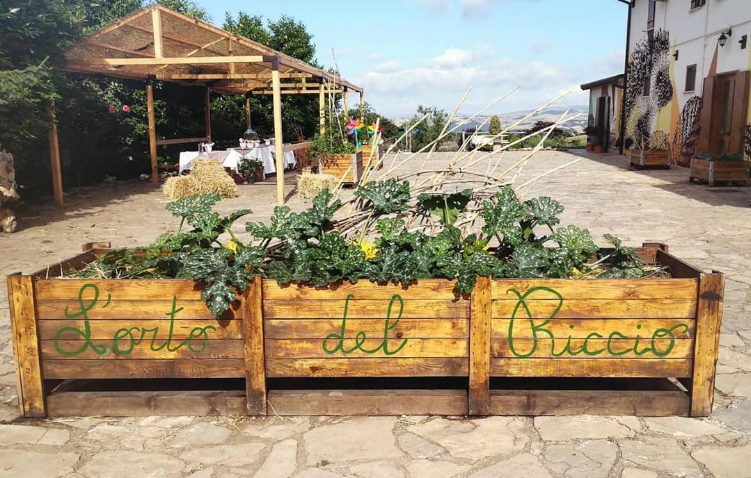 Agriturismo Il Riccio Monticchio  Exterior photo